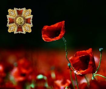 Пам'яті загиблих медиків